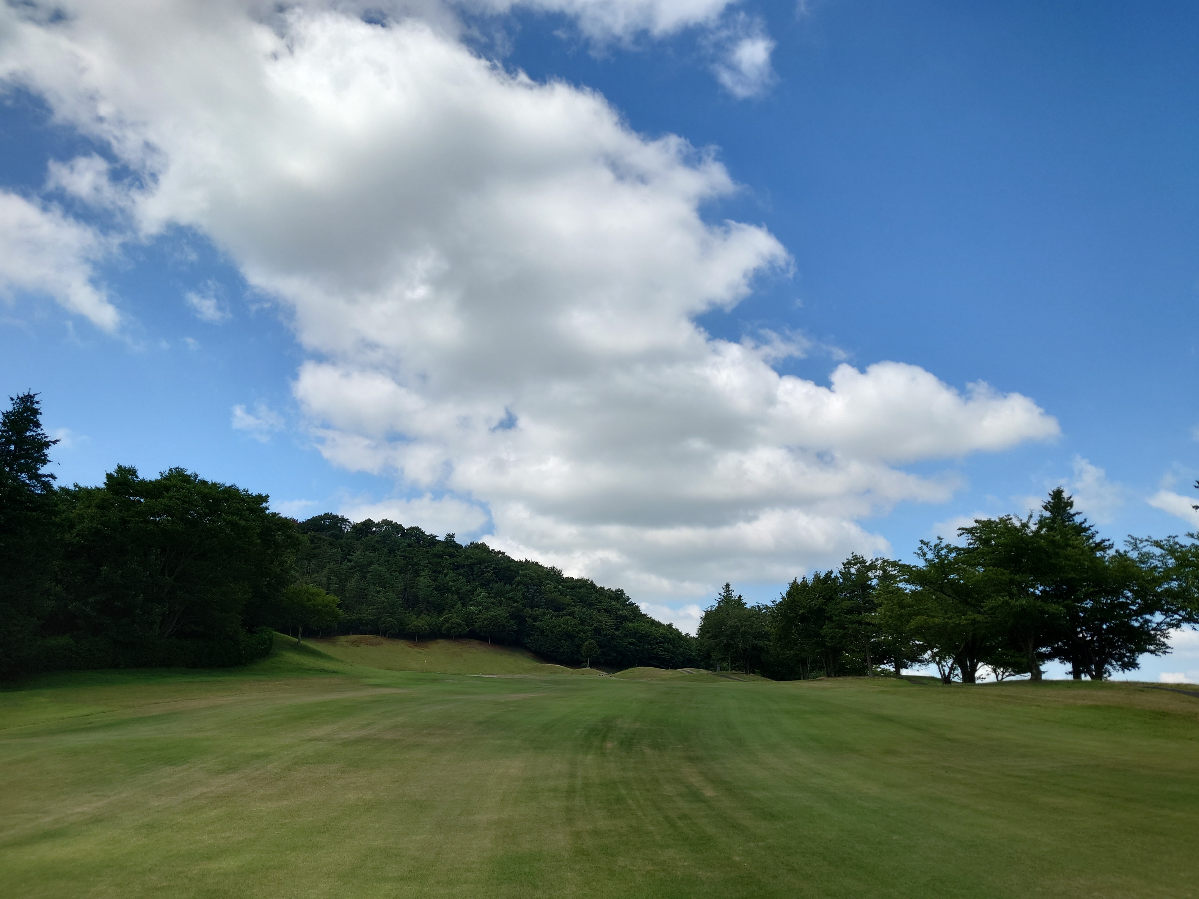 東都栃木カントリー倶楽部の公式サイトの画像(5/11)